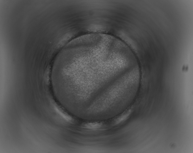 X0000092230065200710051227