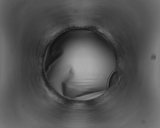 X0000092230066200710051227