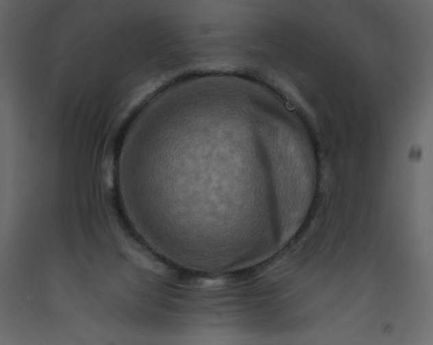 X0000092230068200710051227