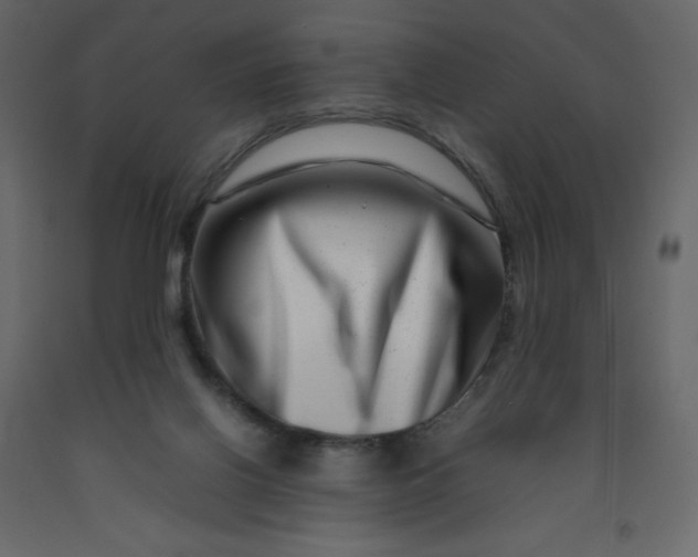 X0000092230070200710051227