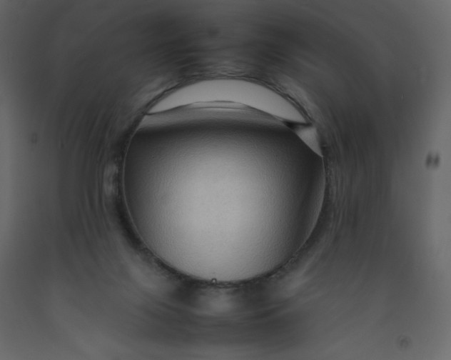 X0000092230071200710051227