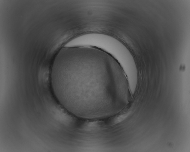 X0000092230072200710051227