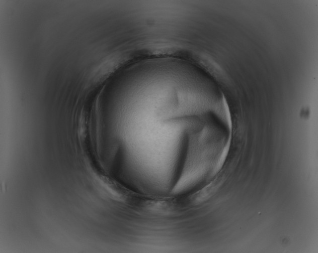 X0000092230074200710051227