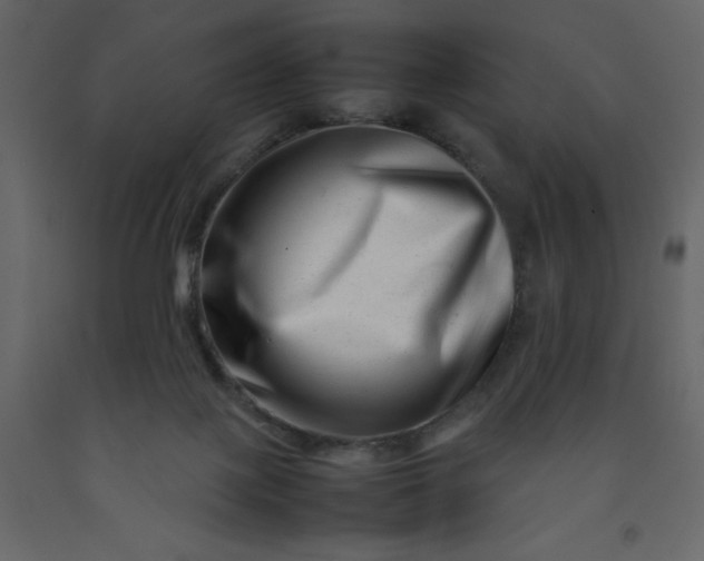 X0000092230075200710051227