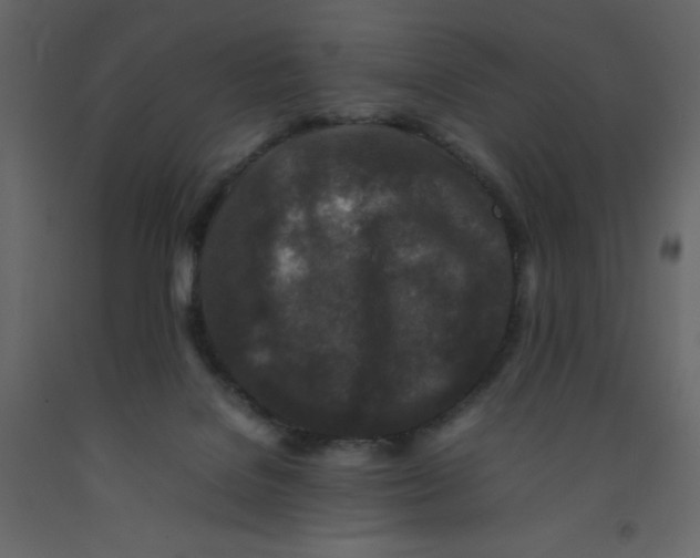 X0000092230076200710051227