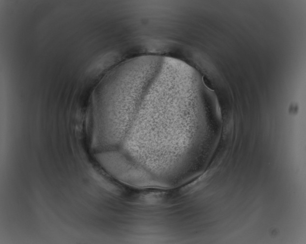 X0000092230078200710051227