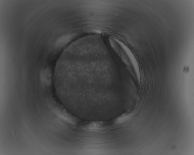 X0000092230080200710051227