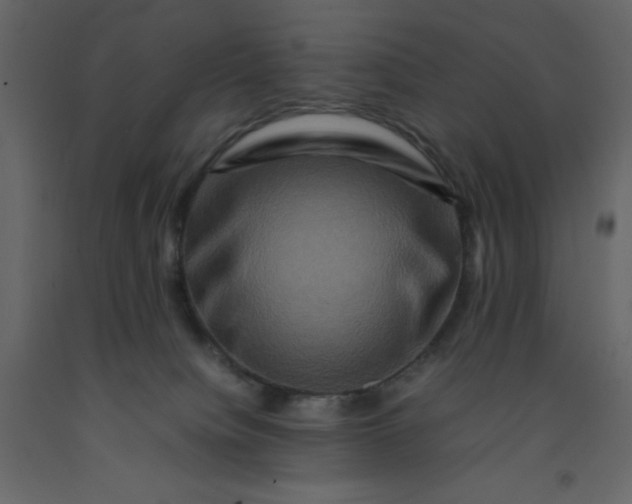 X0000092230084200710051227