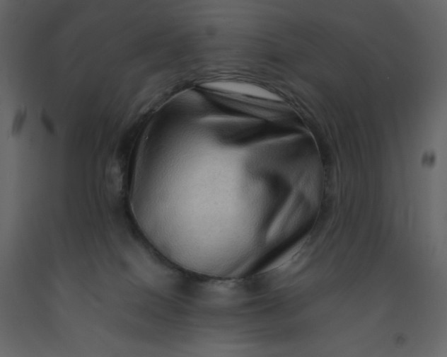 X0000092230086200710051227