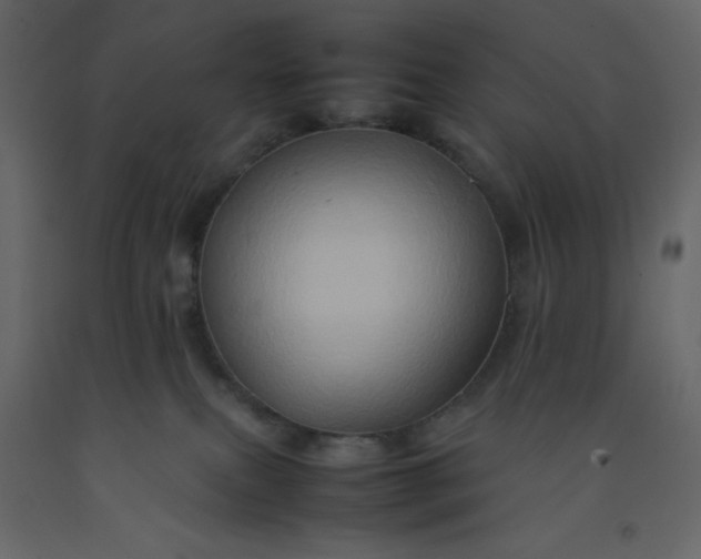 X0000092230087200710051227