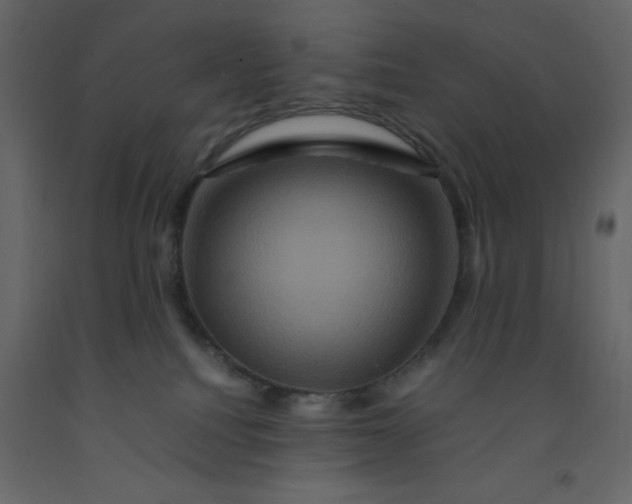 X0000092230088200710051227