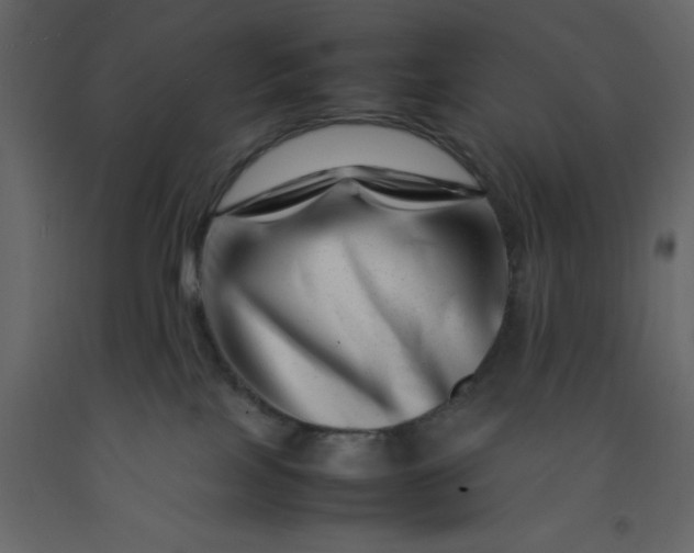 X0000092230089200710051227