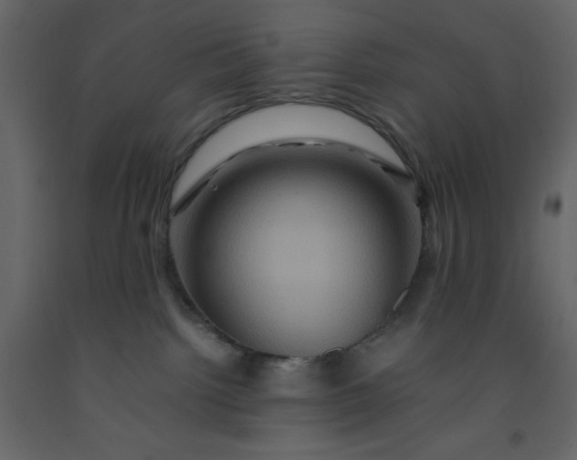 X0000092230092200710051227