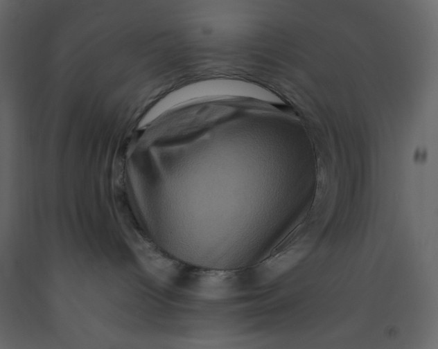 X0000092230096200710051227