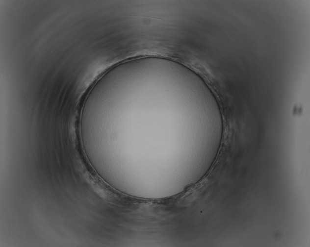 X0000092230098200710051226