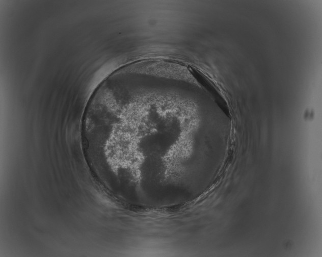 X0000092230099200710051226