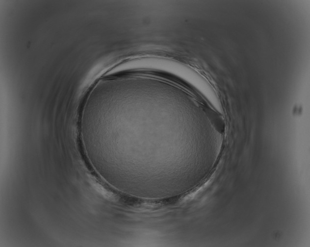 X0000092230101200710051226