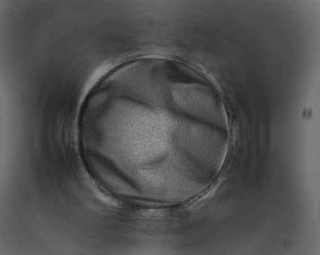 X0000092230102200710051226