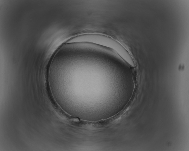 X0000092230103200710051226