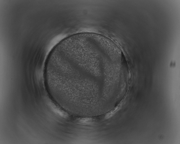 X0000092230104200710051226