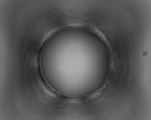 X0000092230106200710051226