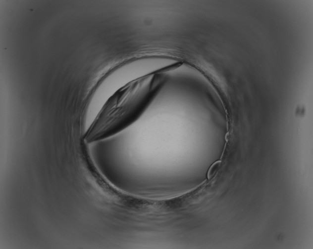 X0000092230107200710051226