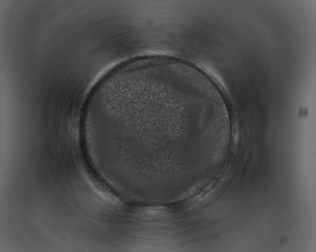 X0000092230108200710051226