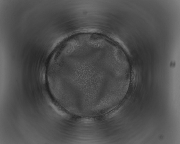 X0000092230110200710051226