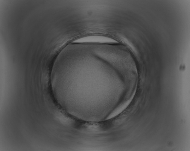 X0000092230113200710051226