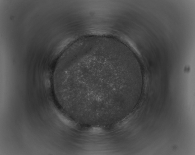 X0000092230114200710051226