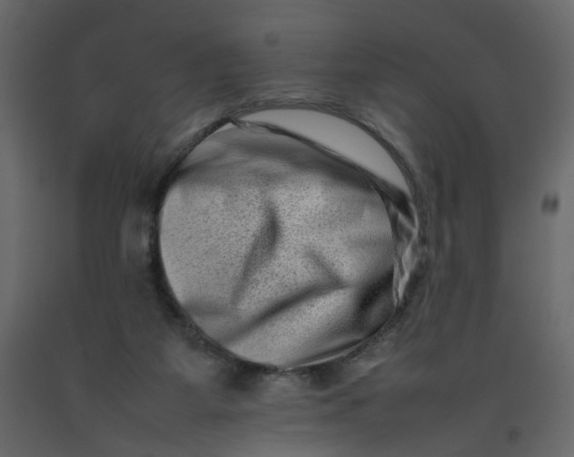 X0000092230115200710051226