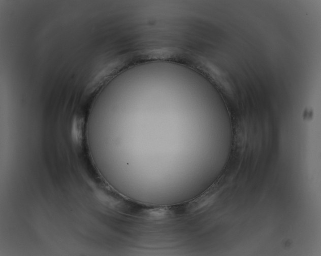 X0000092230118200710051226