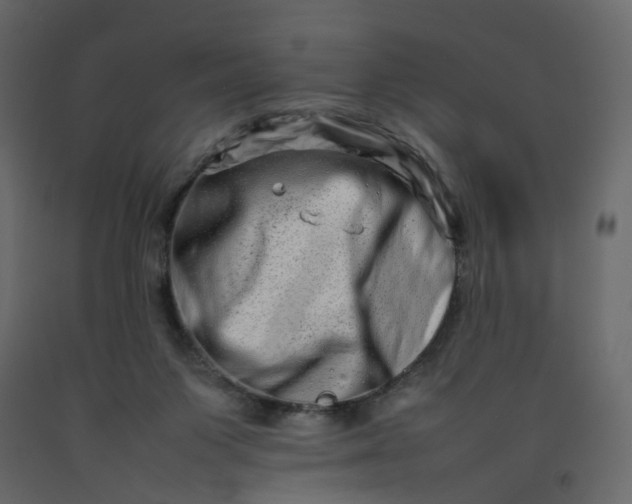 X0000092230119200710051226