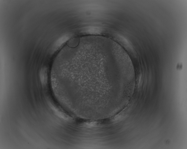 X0000092230120200710051226