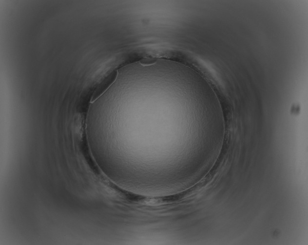 X0000092230121200710051226