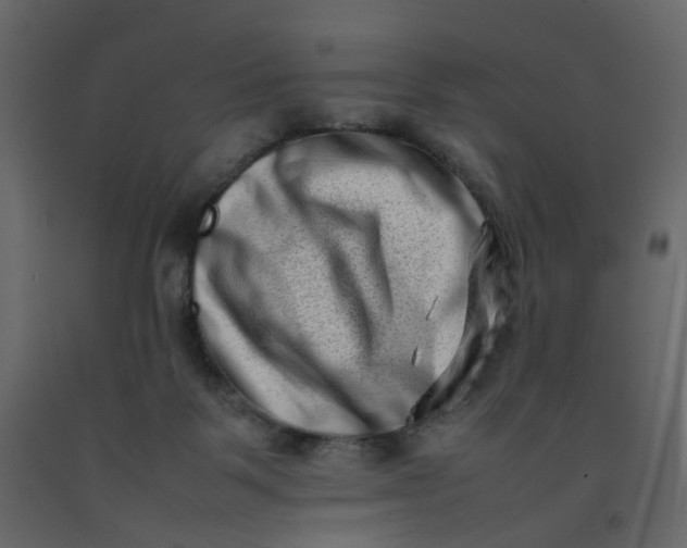 X0000092230123200710051226