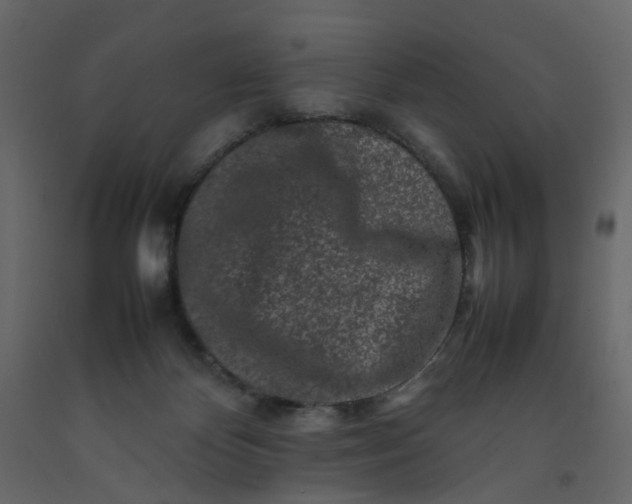 X0000092230124200710051226