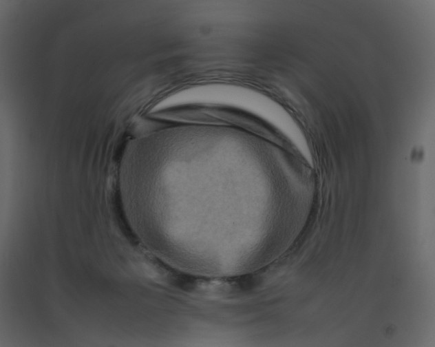 X0000092230125200710051226