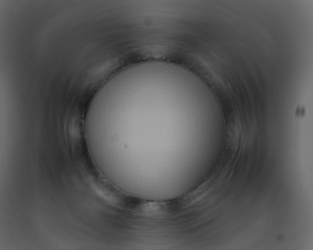 X0000092230126200710051226