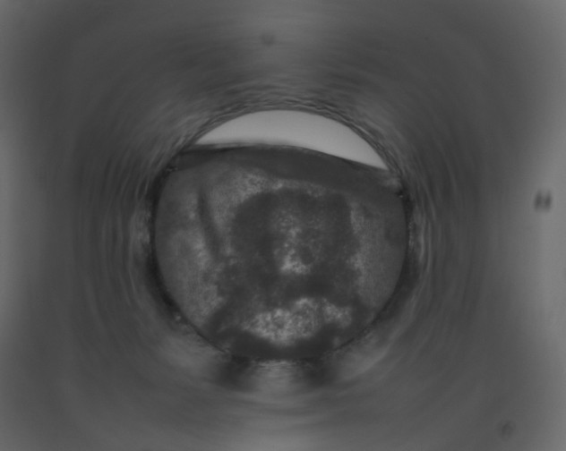 X0000092230127200710051226