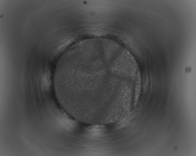 X0000092230128200710051226