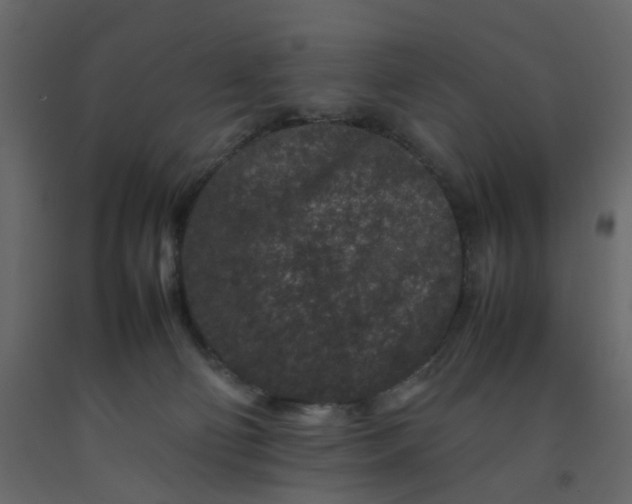 X0000092230130200710051226