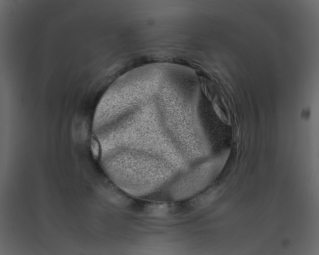 X0000092230131200710051226