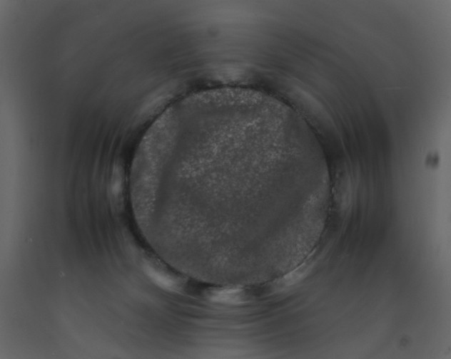 X0000092230132200710051226