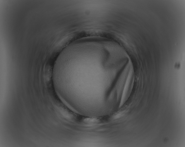 X0000092230133200710051226