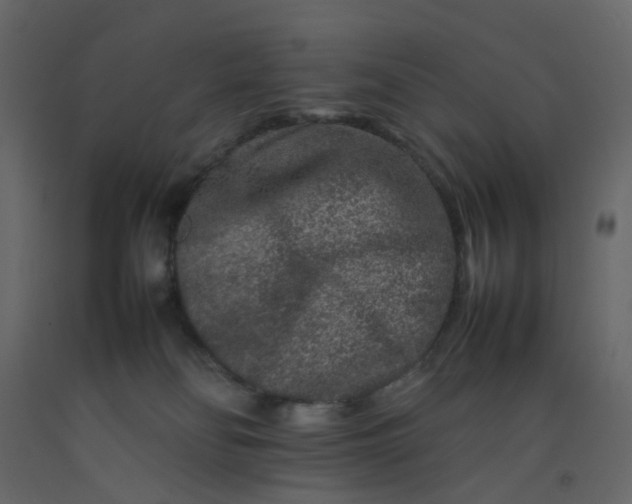 X0000092230134200710051226