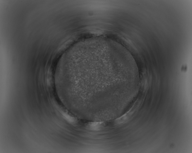 X0000092230136200710051226