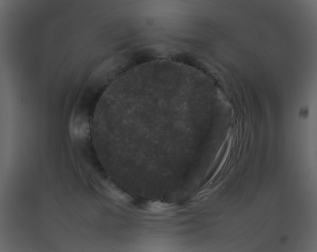 X0000092230137200710051226