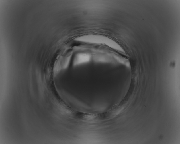 X0000092230139200710051226