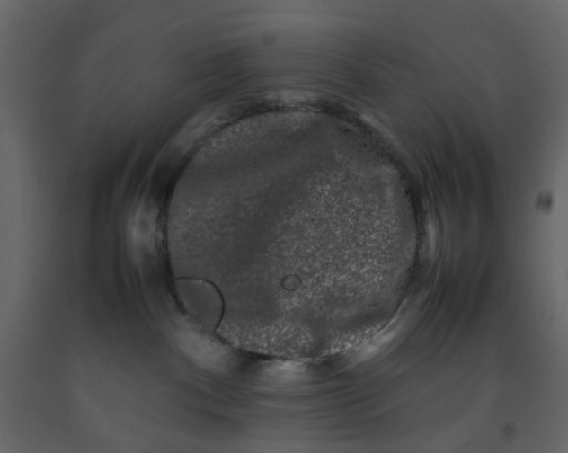 X0000092230140200710051226